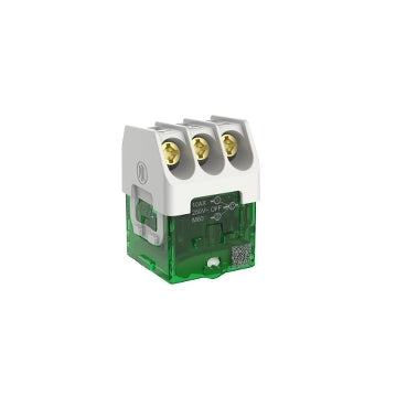 Iconic Sw Mech 3Pos Blank 10A