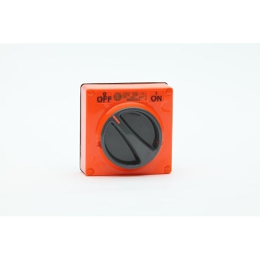 Switch 32A 2P 250V IP66 Grey