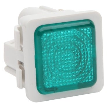 Neon Module Illuminated 250VAC Green
