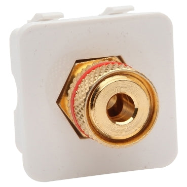 Module White Banana Connector Red Audio