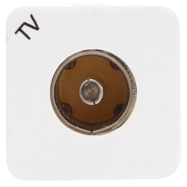 Module TV Outlet Pal to F-Type White