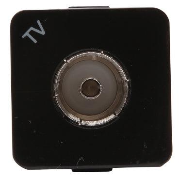 Module TV Pal to F-Type Connect Outlet Black