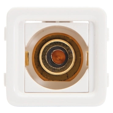 Module RCA F-Type Black Insert White