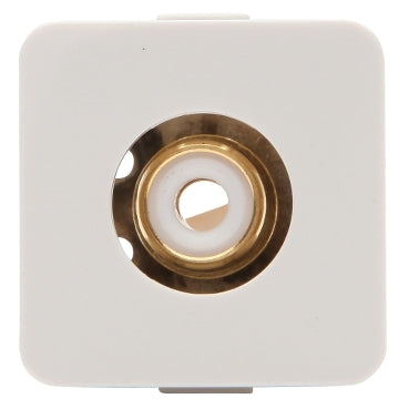 Module White Audio RCA Insert White