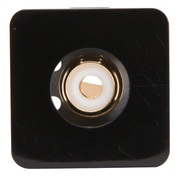 Module White Audio RCA Insert Black