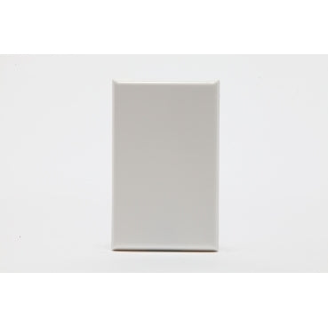 Cover Plate Blank White