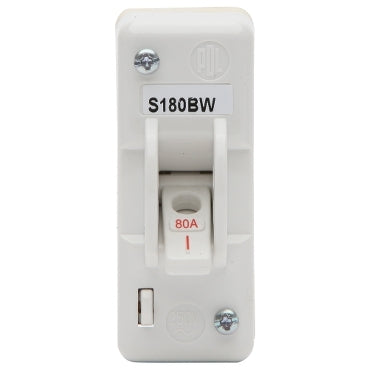 Main Switch 1P 80A Back Wired