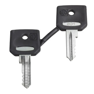 Ronis 455 Spare Key Booted Switch