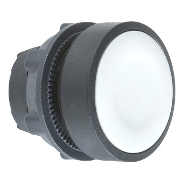 ZB5 Pbutton Head Dbl Ins Flush Grey