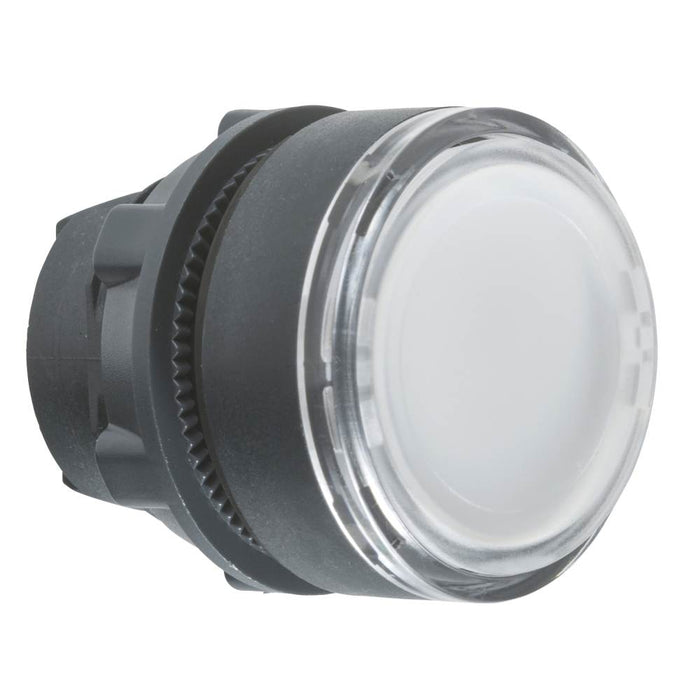 XB5 Pbutton Head Illum Flush White 22mm Spr Ret Unmarked