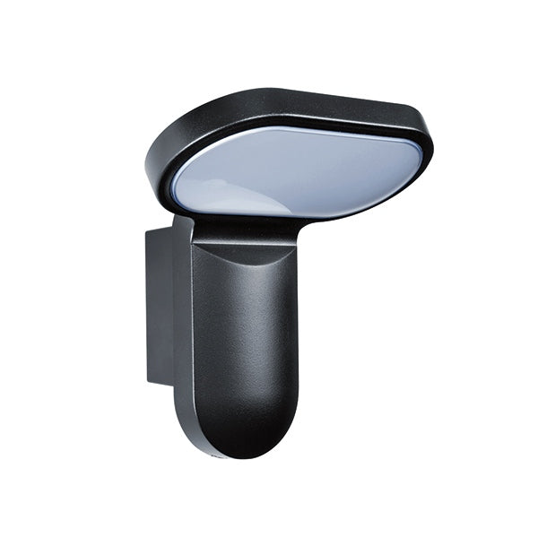 OL 200 Floodlight 25W 5000k Black IP55