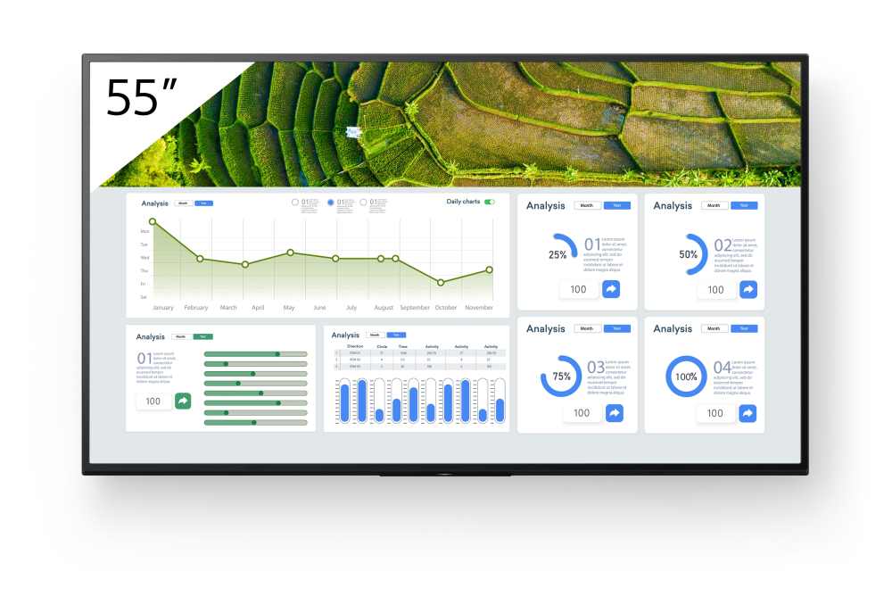 Bravia Display FW55BZ30L 55in 4K UHD TV