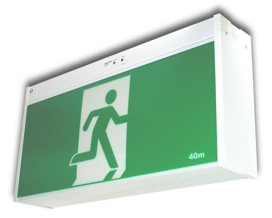 Platinum Jumbo Exit Ceiling Mount Sinlge Side PICTO No Arrow