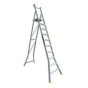 Warthog Platform Ladder 10 Step 180kg