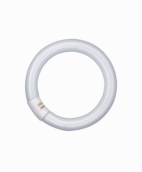 Tube Lumilux Circular 32W T9 865 G10Q