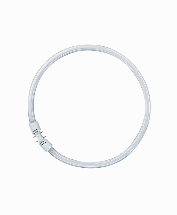 Tube Lumilux FC Circular 55W T5 840 2GX13