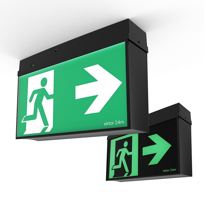 Mercury 24m Emergency Exit Theatre Dali Lynk Black