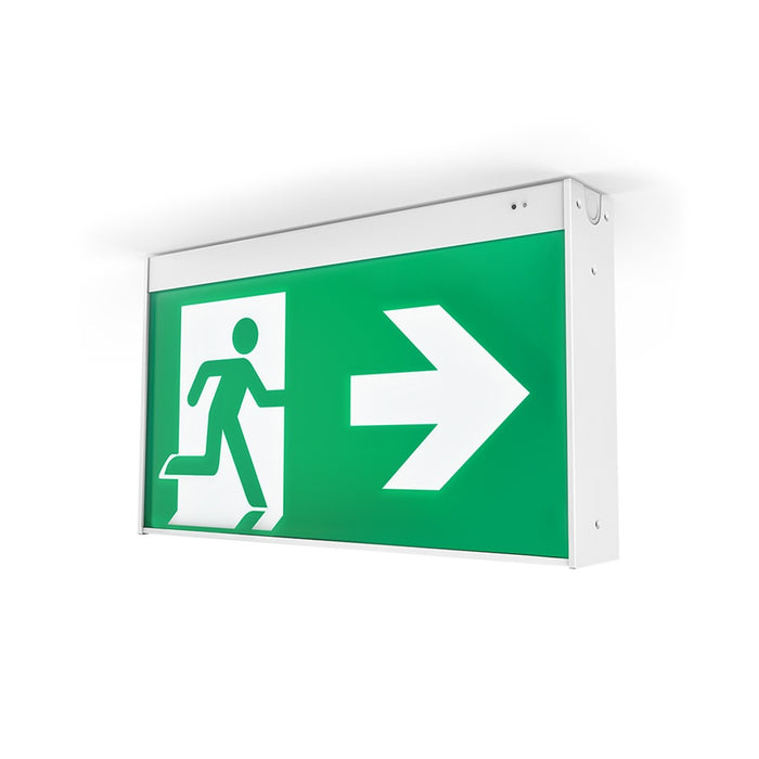 Mercury One 40m Emergency Exit Wireless and DALI