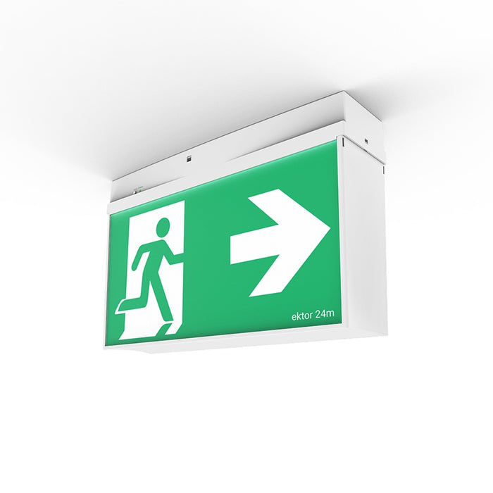 Mercury One 24m Emergency Exit Wireless and DALI