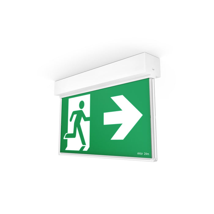 Razor One Edgelite Exit 24m Surface Mount Wireless and DALI