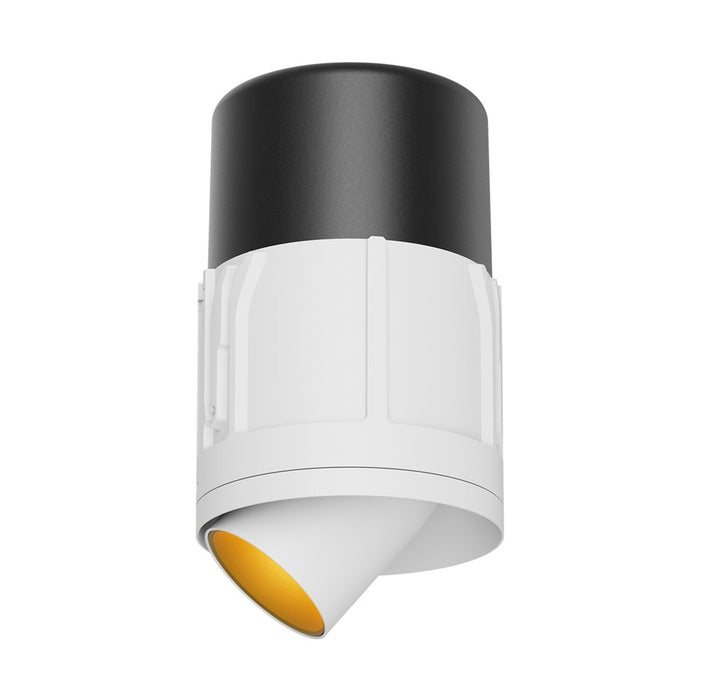Cevon T8 Adj Scopic 11W 2700K 300mA 36Deg White Gold