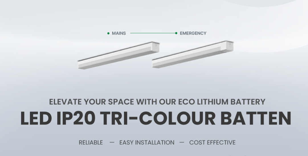 Eco Batten - Mains & Emergency
