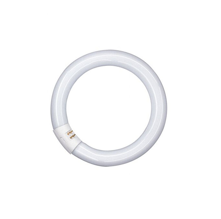 Tube LumiLux Circular 40W T9C 840 G10Q
